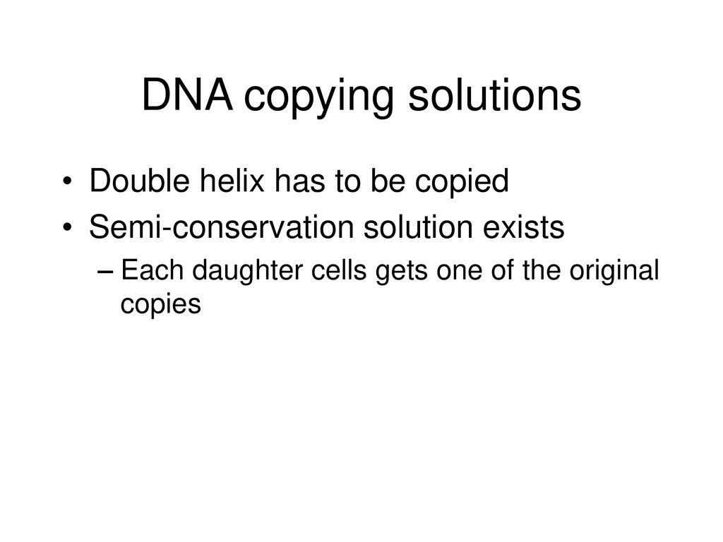 DNA copying solutions Double helix has to be copied