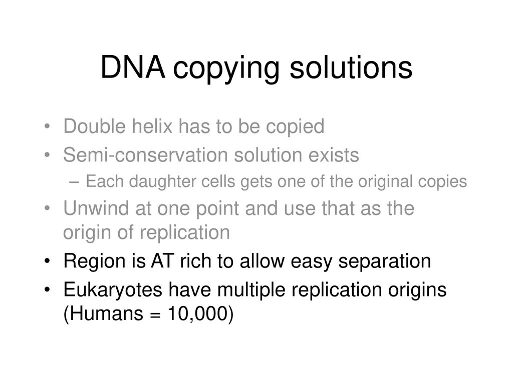 DNA copying solutions Double helix has to be copied