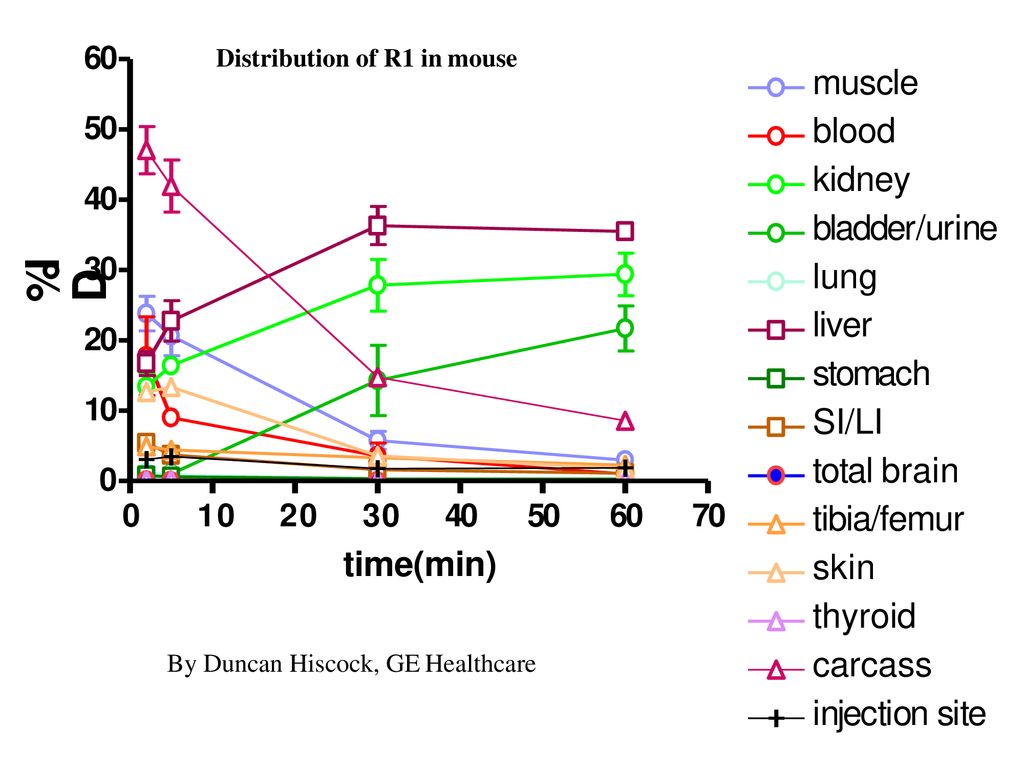 %ID muscle blood kidney bladder/urine lung liver stomach SI/LI
