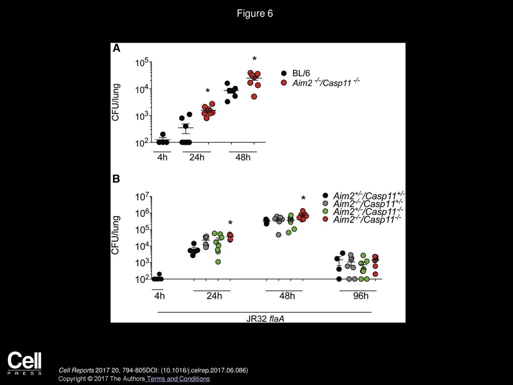 Figure 6 Caspase-11 and AIM2 Inflammasomes Contribute to Restriction of L. pneumophila Infection in Mouse Lungs.