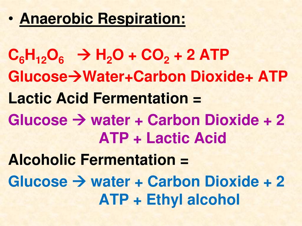 Anaerobic Respiration  