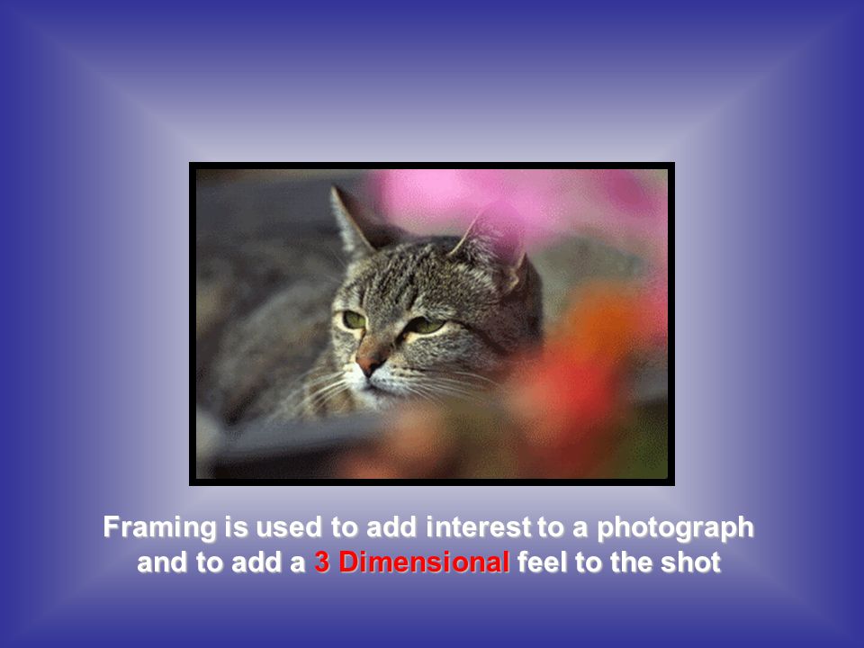 Framing is used to add interest to a photograph and to add a 3 Dimensional feel to the shot