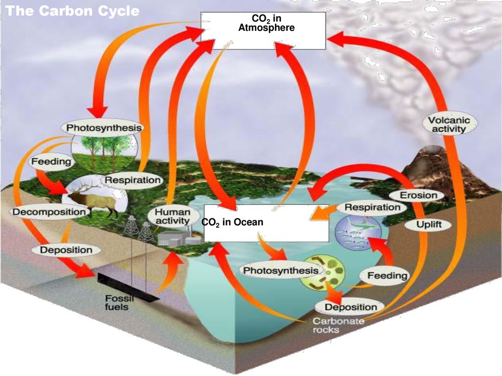 Water cycle Water moves between the ocean, atmosphere and land. - ppt ...