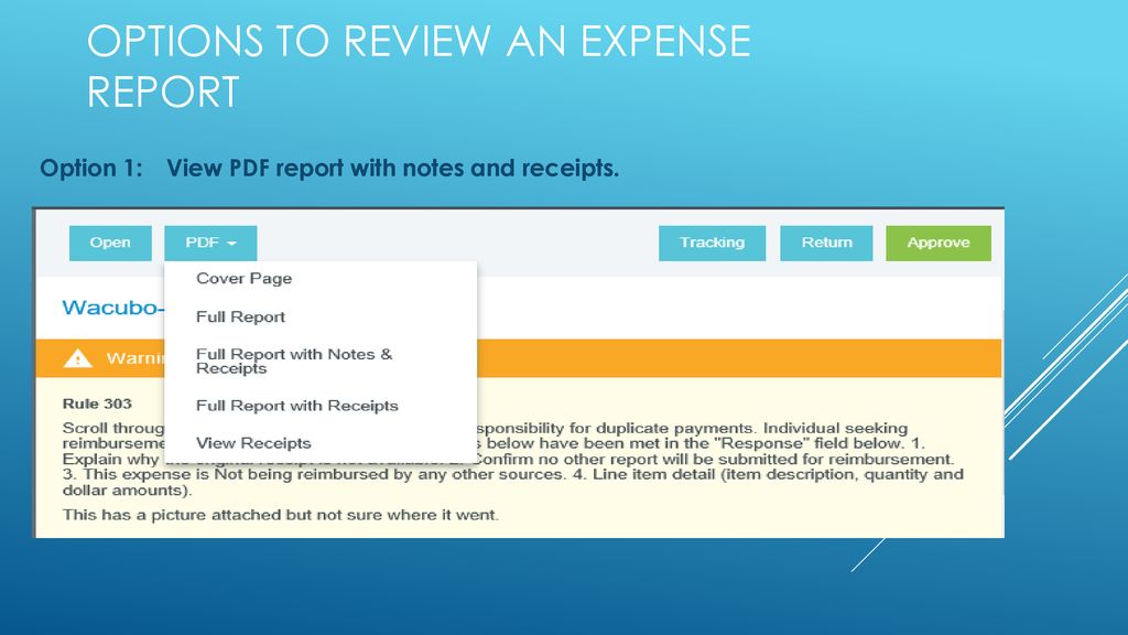 Options to Review an Expense Report