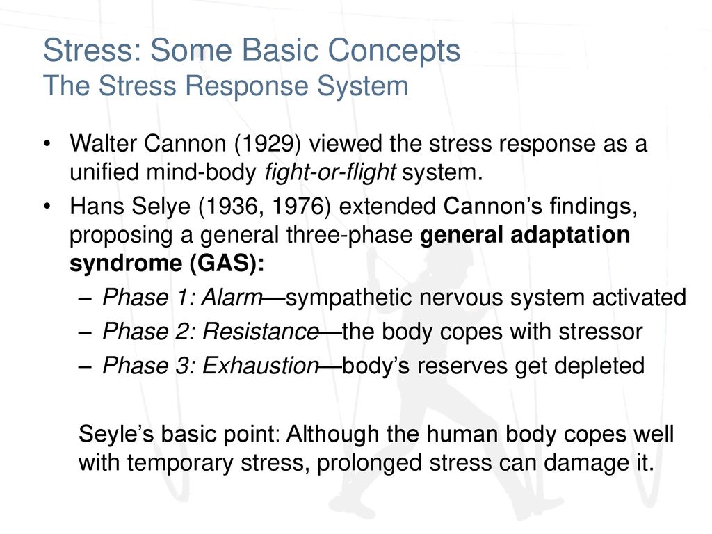 Module 33 Stress and Illness. - ppt download