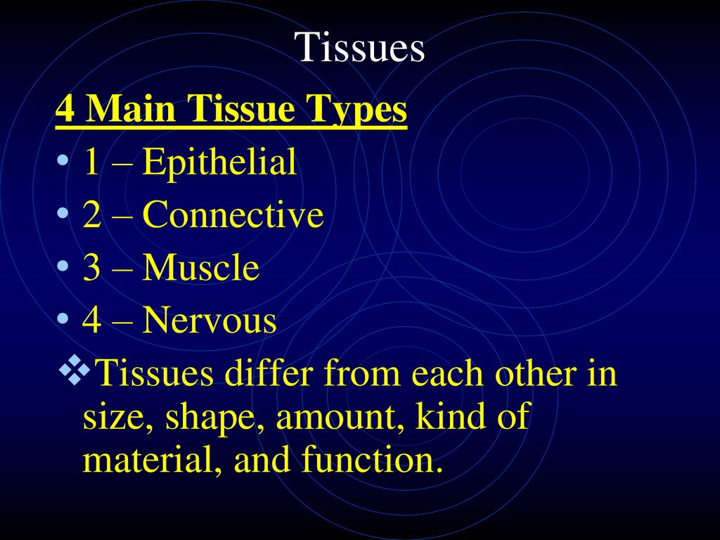Bellwork Define tissue (Hint look at your crossword or your notes