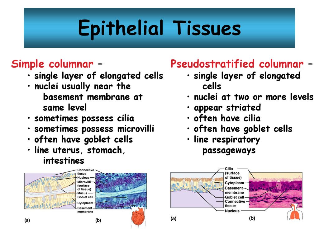 PowerPoint Lecture Outlines to accompany - ppt download