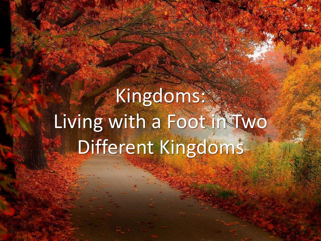 Kingdoms: Living with a Foot in Two Different Kingdoms