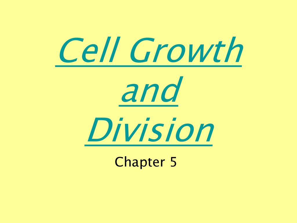 Cell Growth and Division Biology Diagrams