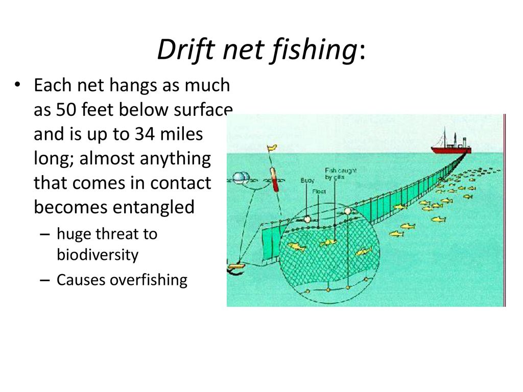 Fishing Resources. - ppt download