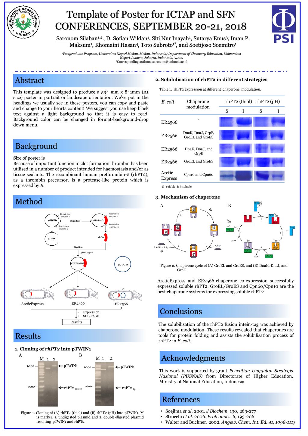 Template Of Poster For Ictap And Sfn Conferences September 20 21