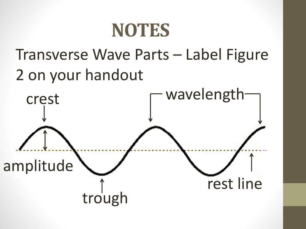 PARTS OF A WAVE AND ENERGY MOVEMENT - ppt download