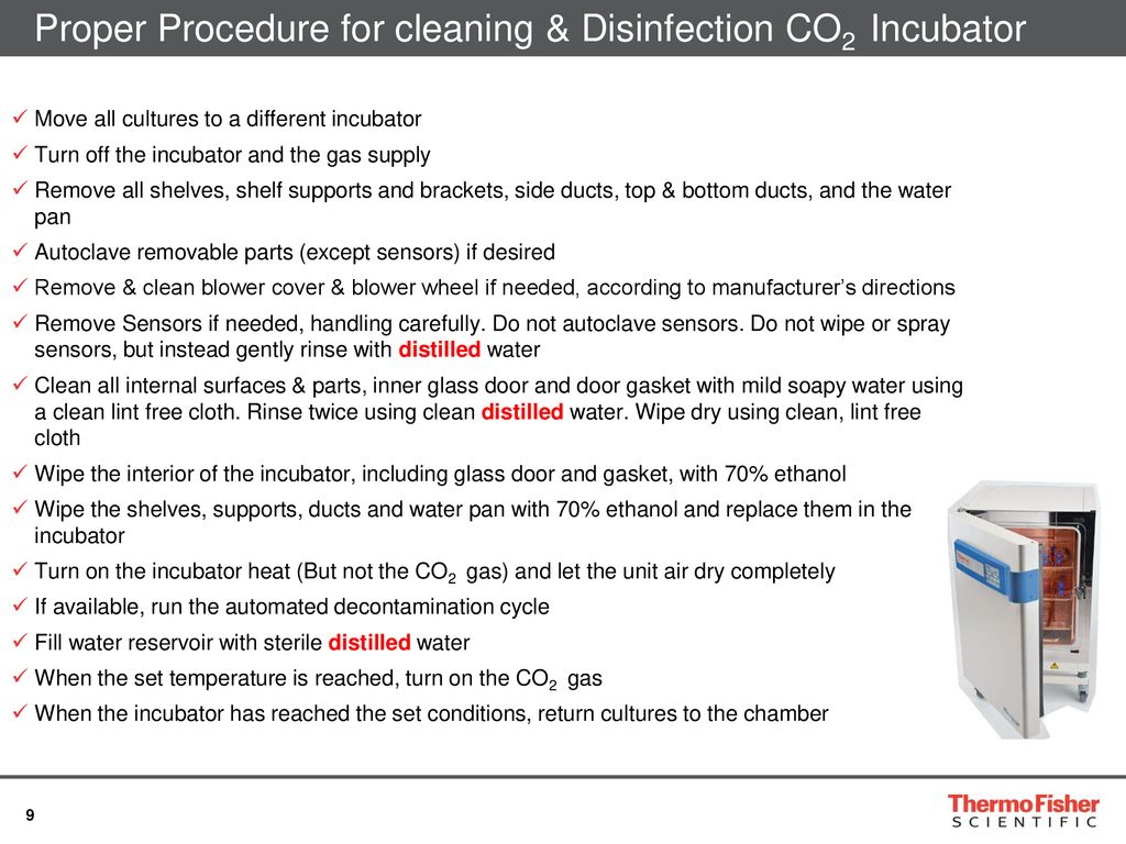 Preventing Contamination in Cell Culture and in the CO2 Incubator - ppt  download