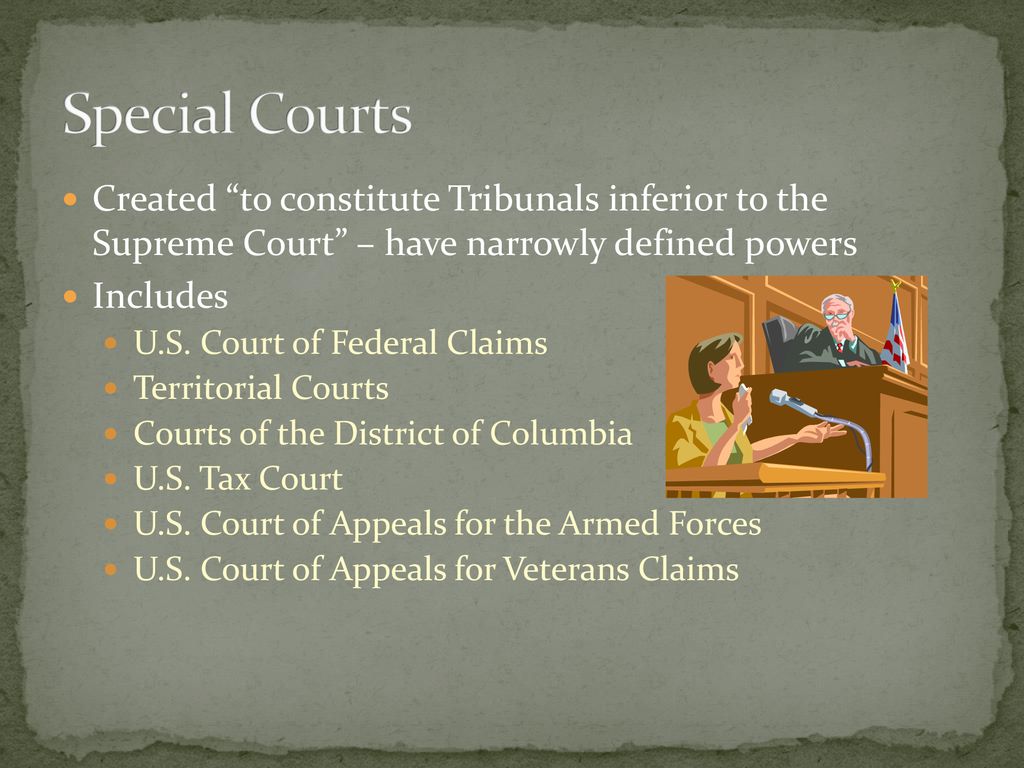 The National Judiciary ppt download