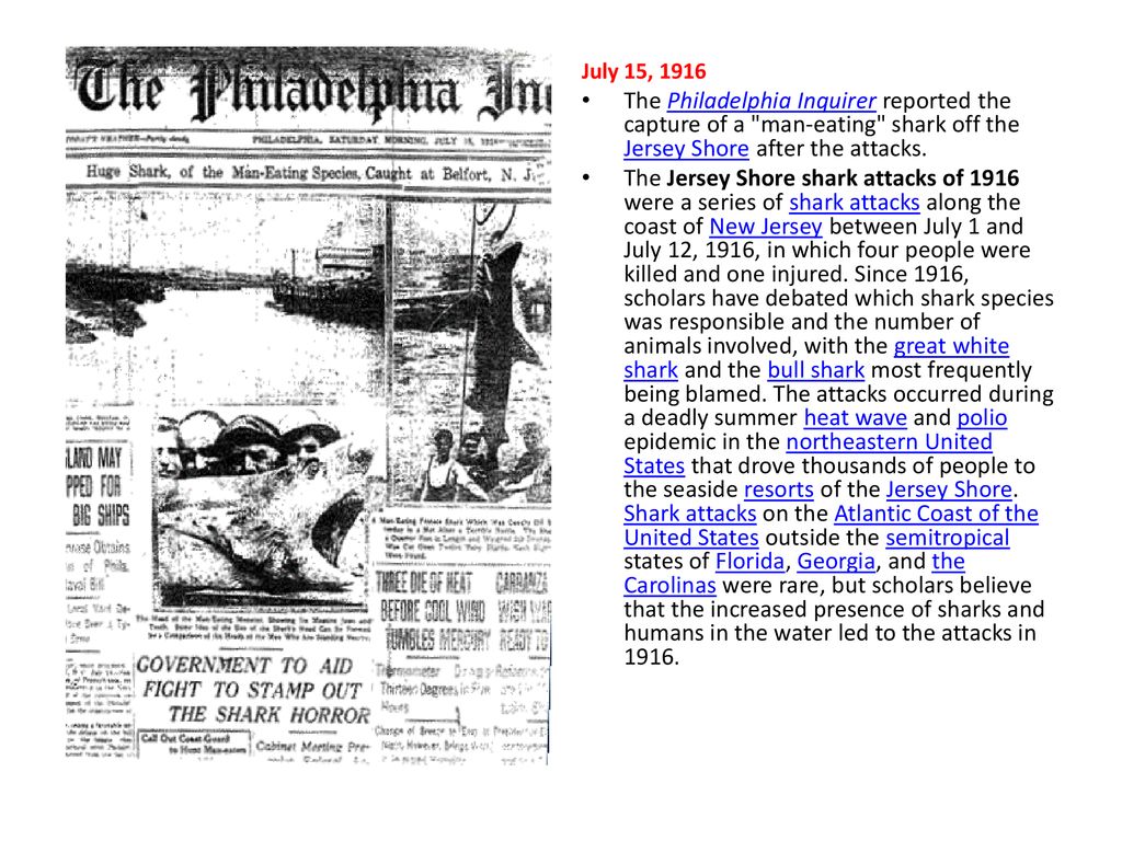 July 15, 1916 The Philadelphia Inquirer reported the capture of a man-eating shark off the Jersey Shore after the attacks.