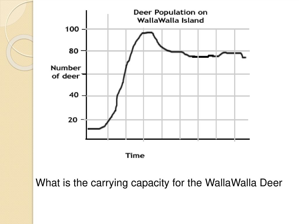 What is the carrying capacity for the WallaWalla Deer