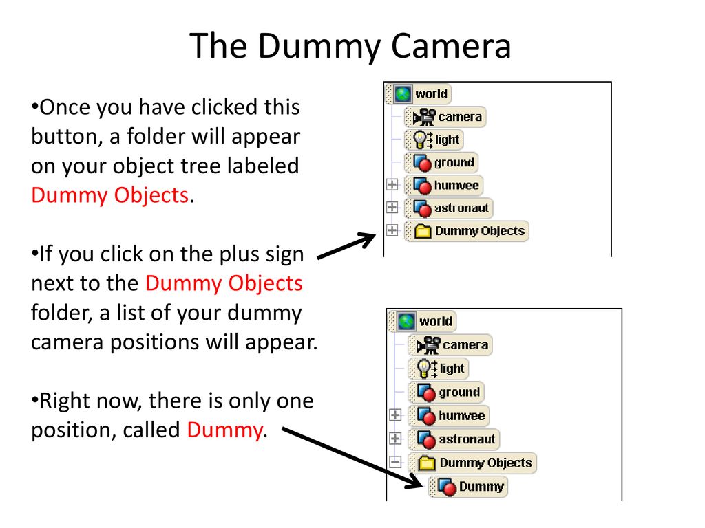 The Dummy Camera Once you have clicked this button, a folder will appear on your object tree labeled Dummy Objects.