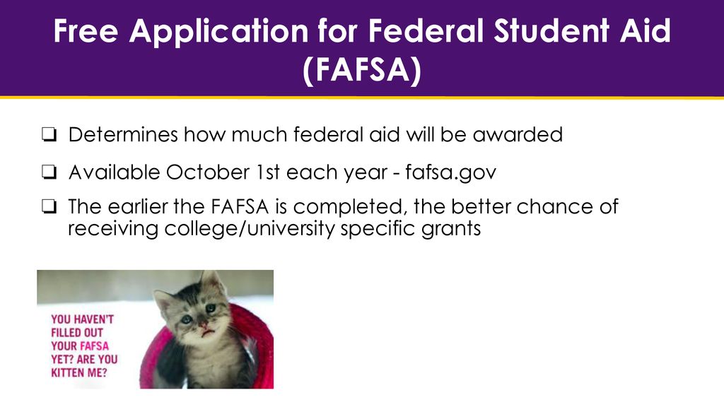 Financial Aid for Graduate Students - ppt download