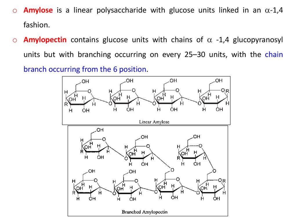 Amylose is a linear polysaccharide with glucose units linked in an -1,4 fashion.