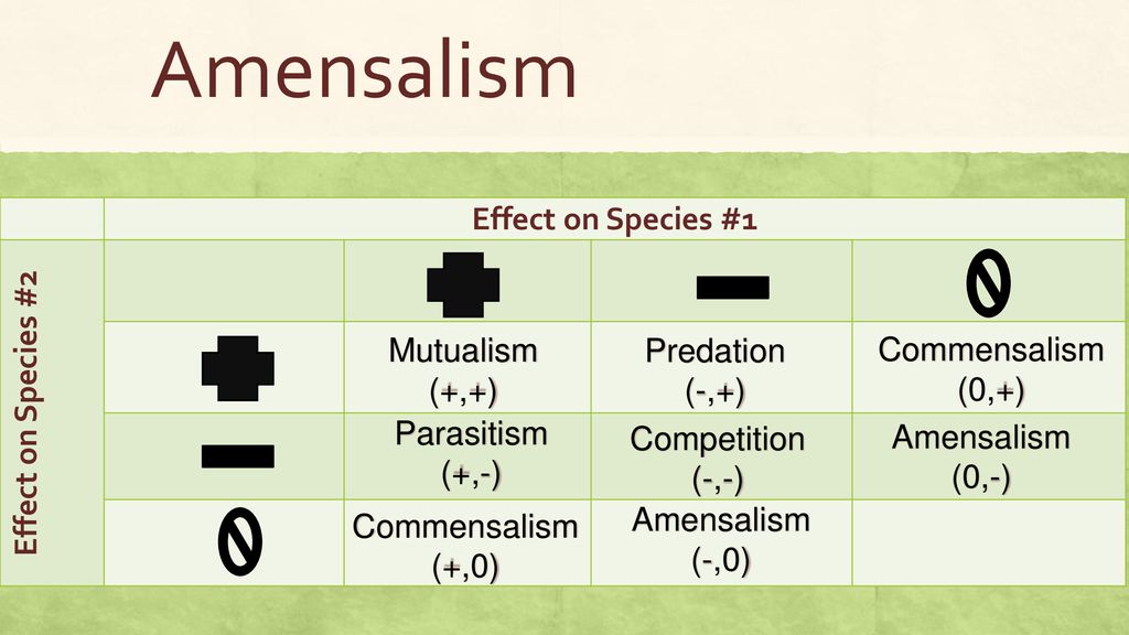 Symbiosis Living Together In An Ecosystem Ppt Download