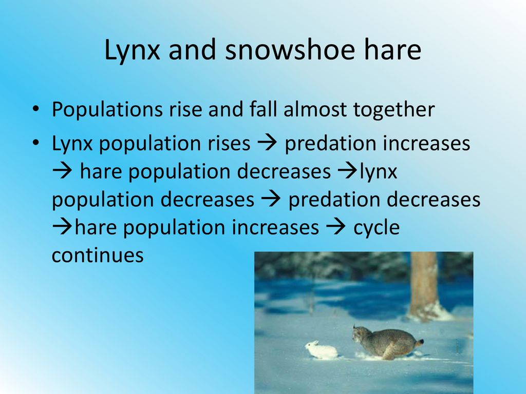 Population Biology Chapter ppt download
