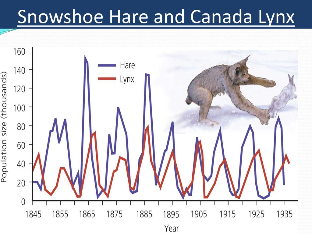 2.6 Ecosystem Changes. - ppt download