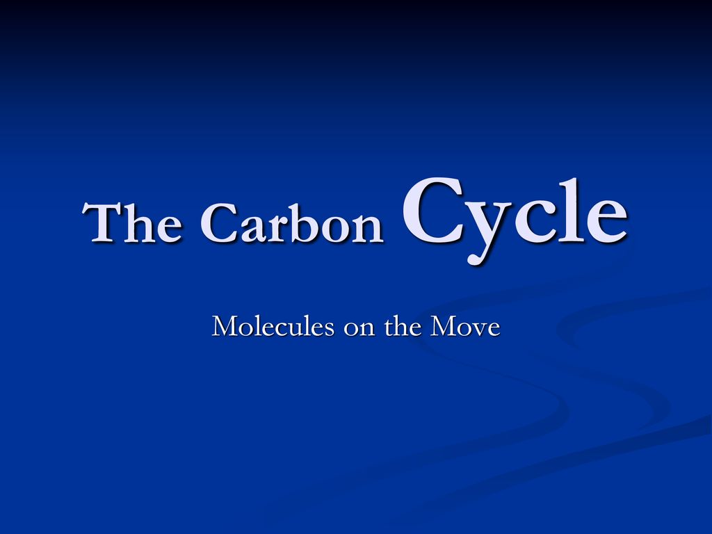 The Carbon Cycle Molecules on the Move