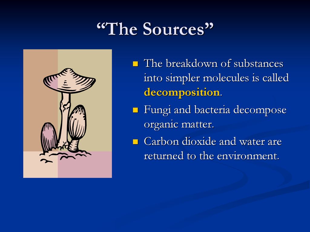 The Sources The breakdown of substances into simpler molecules is called decomposition. Fungi and bacteria decompose organic matter.
