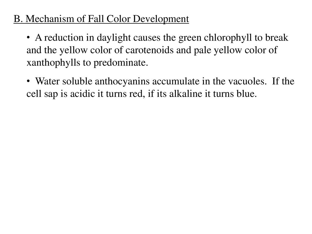 B. Mechanism of Fall Color Development