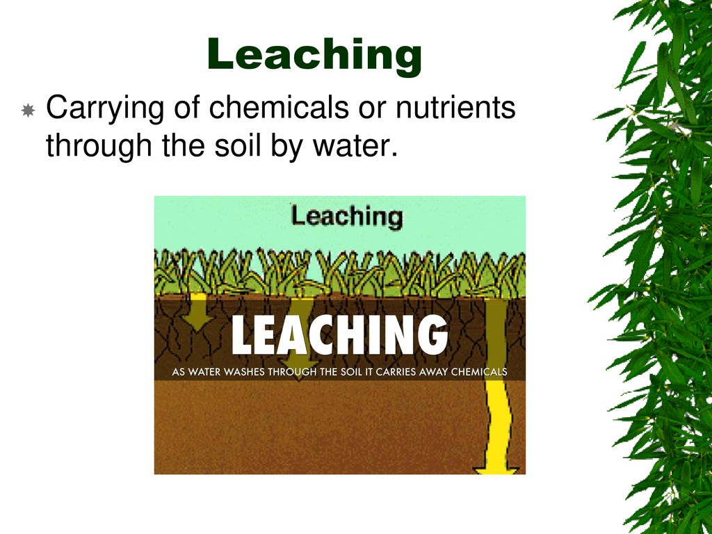 CH 3 What Is Ecology Study Of Relationships Between Organisms ch-3-what-is-ecology-study-of-relationships-between-organisms