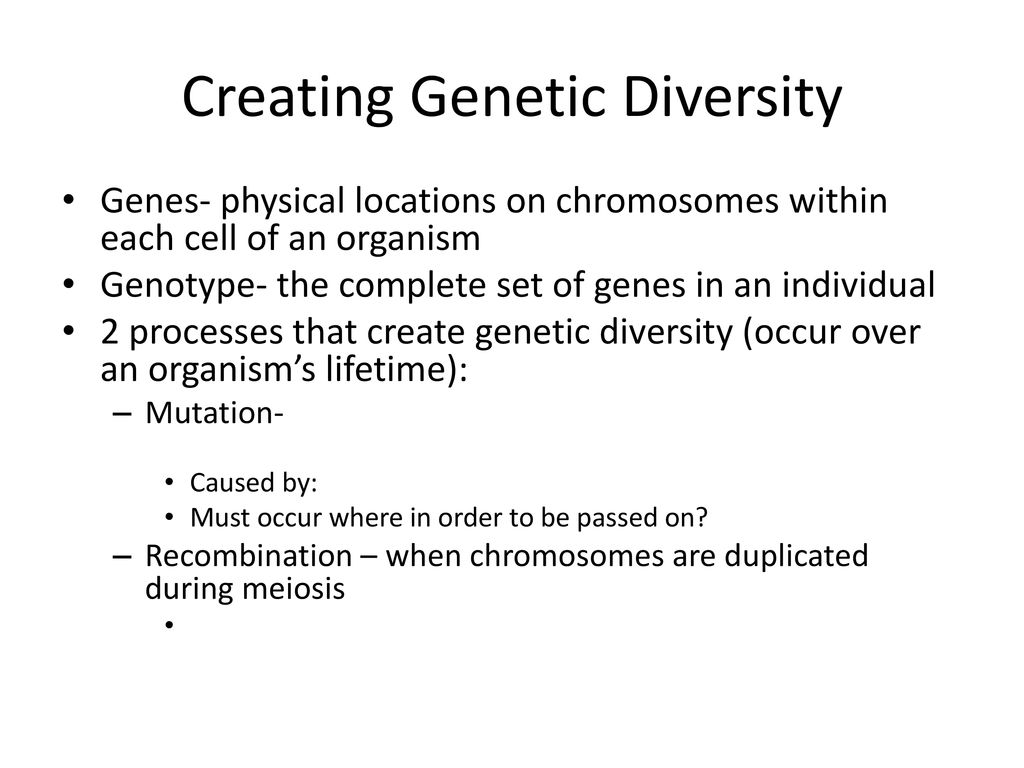 Evolution Of Biodiversity - Ppt Download