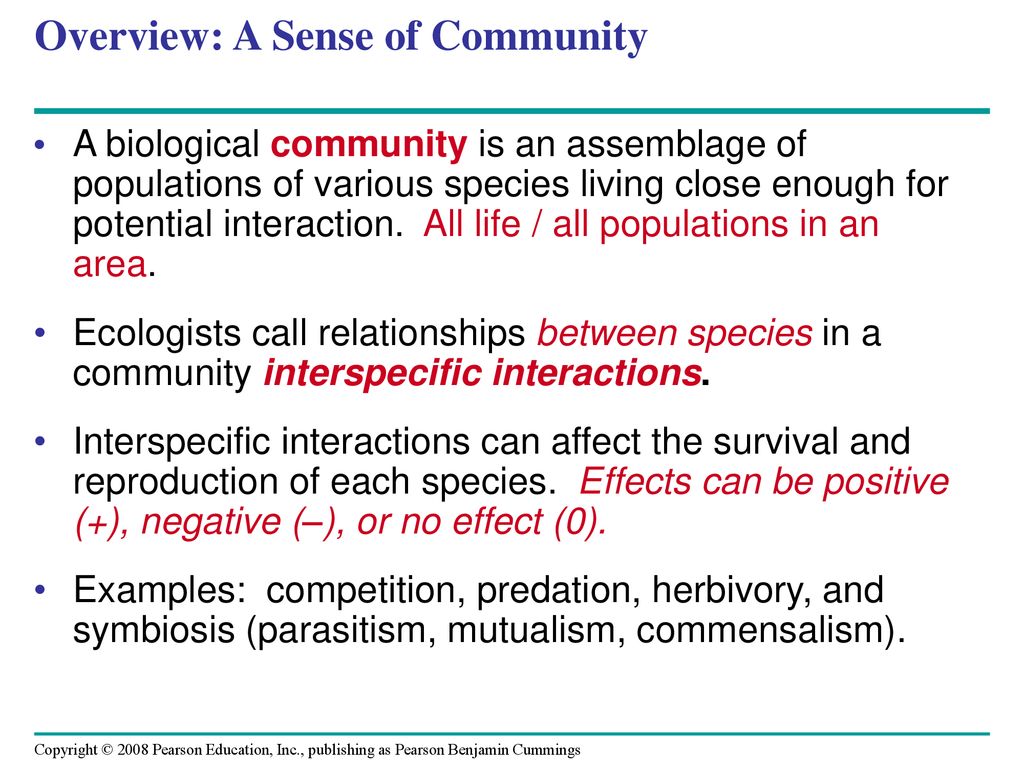 Chapter 54 Community Ecology. - Ppt Download