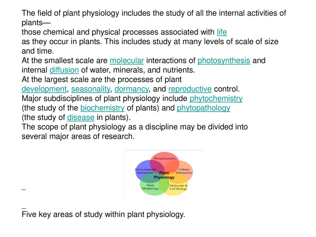 23+ Plant Physiology Definition