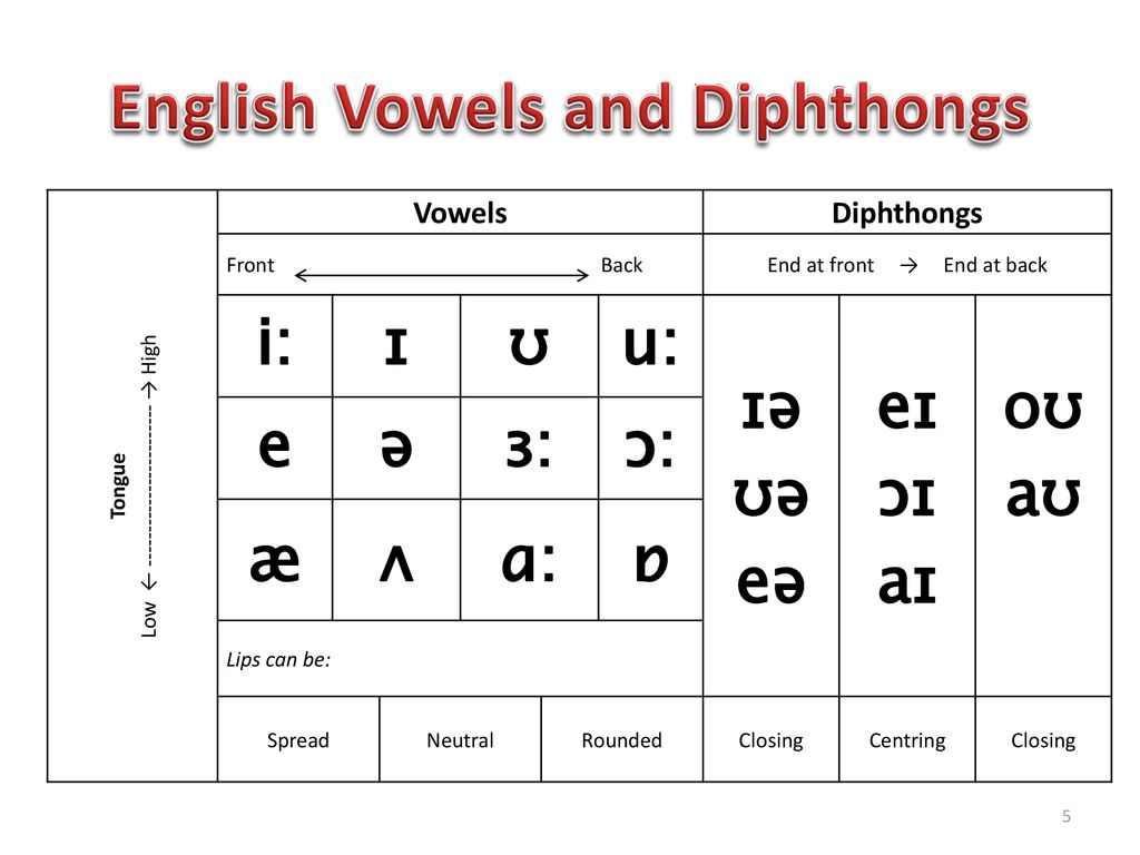 Vowels перевод