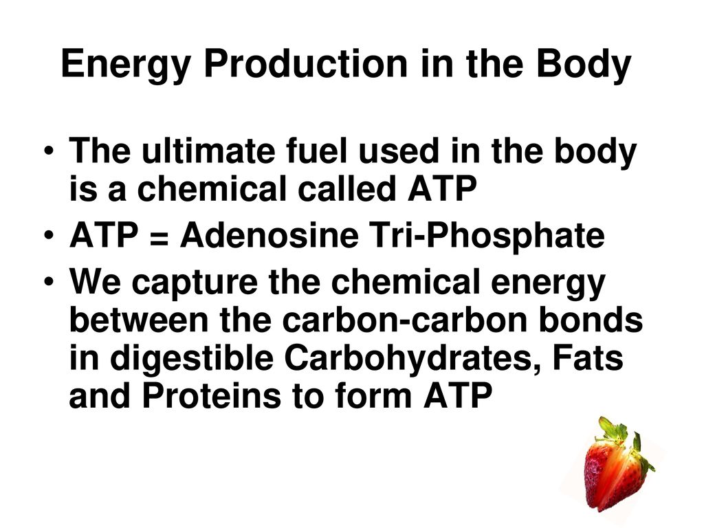 Energy Production in the Body