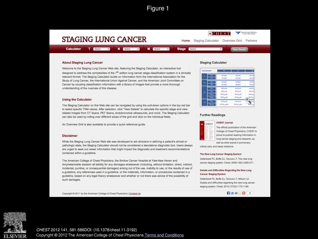 Figure 1 The staging lung cancer landing page.