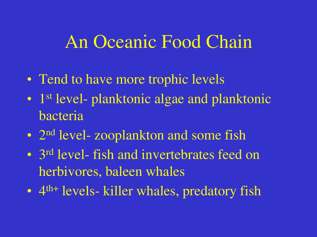 Chapter 6: Ecosystems and Ecosystem Management - ppt download