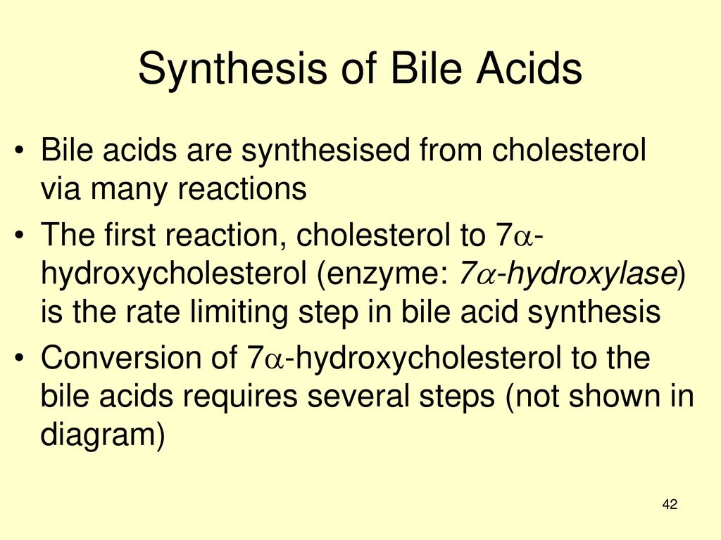 Synthesis of Bile Acids