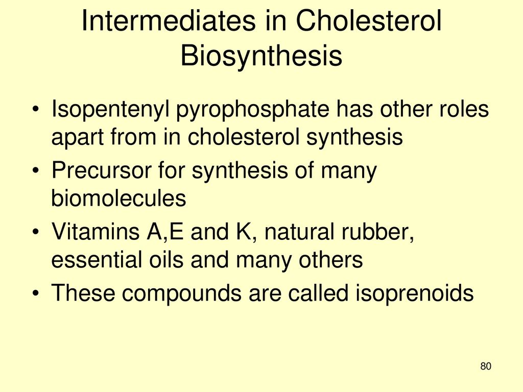 Intermediates in Cholesterol Biosynthesis