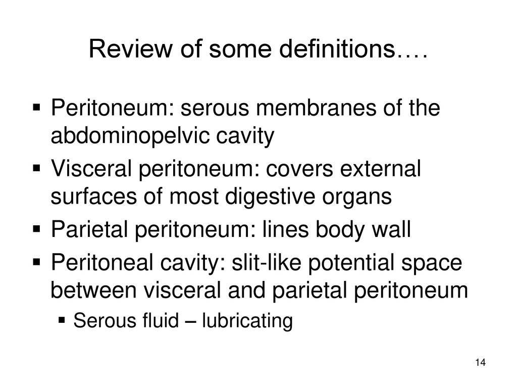 The Digestive Tract Biology Diagrams