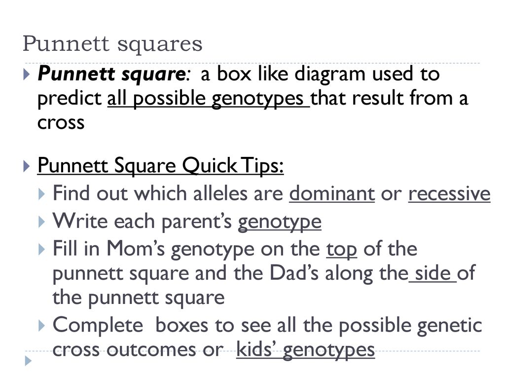 Genetics Ppt Download