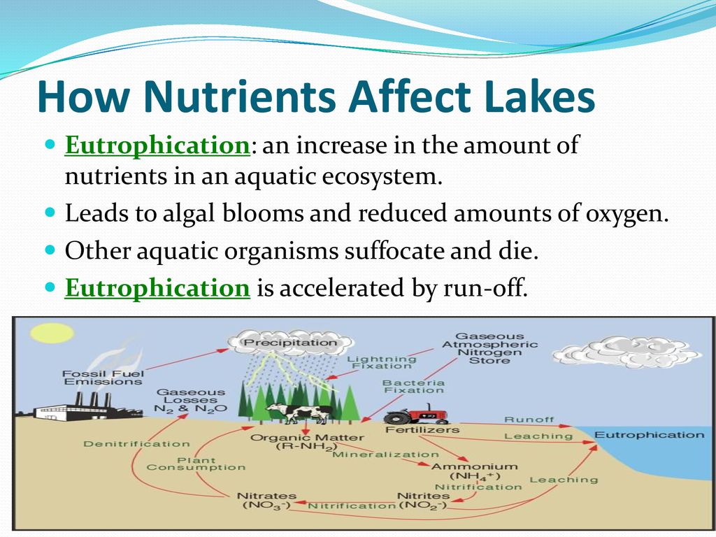 Overview of Eutrophication