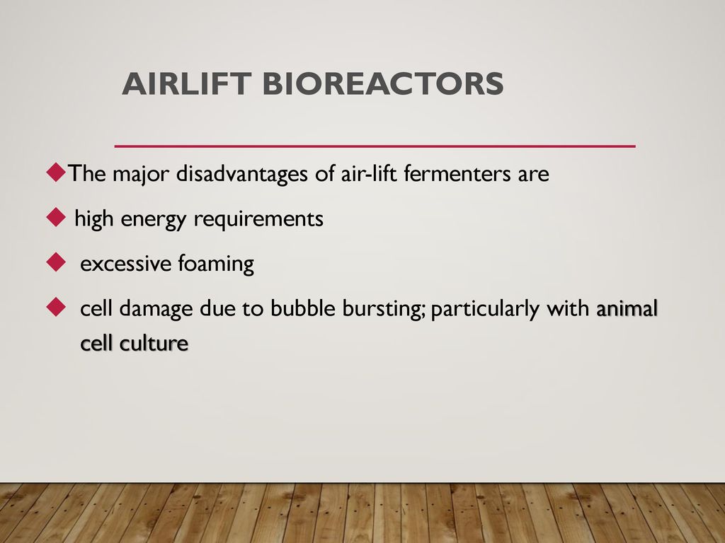 Bioreactors Ppt Download