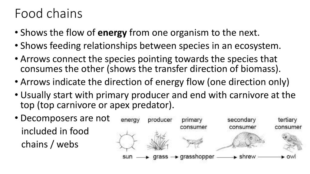 Communities and Ecosystems Biology Diagrams
