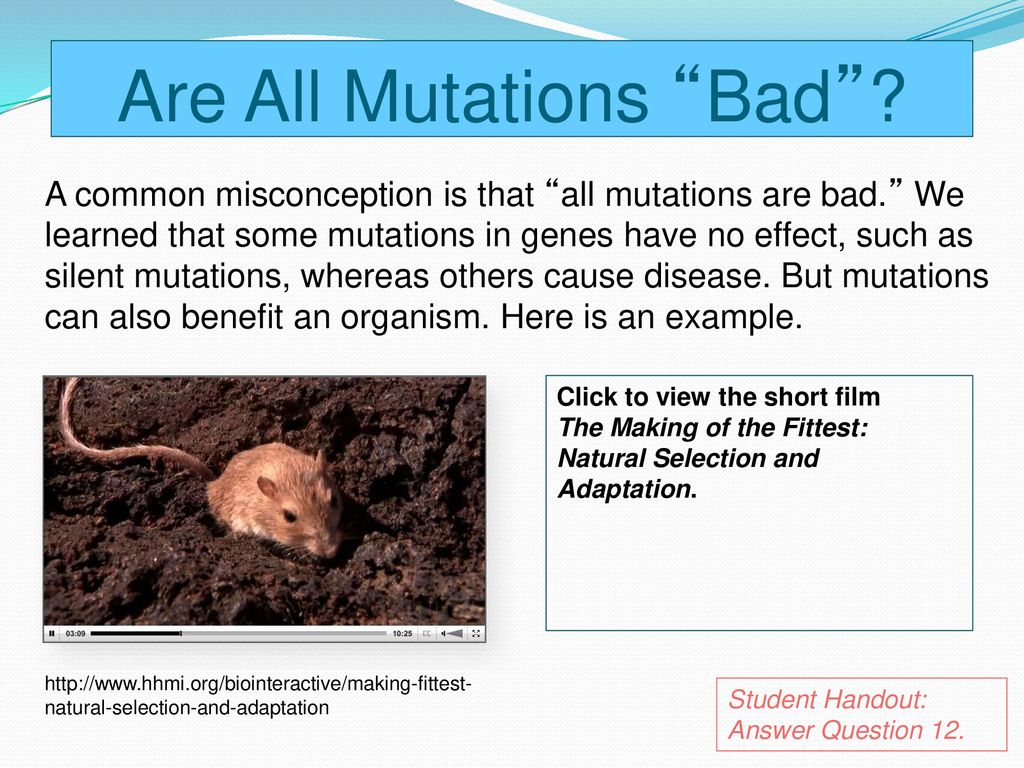 Mutations And The Birth And Death Of Genes Ppt Download Mutations And The Birth And Death Of Genes Ppt Download