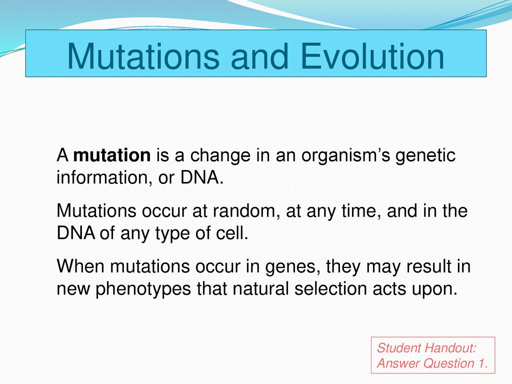 Mutations And The Birth And Death Of Genes Ppt Download Mutations And The Birth And Death Of Genes Ppt Download