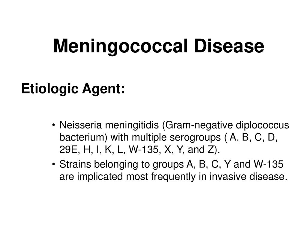 Meningococcal Disease Ppt Download
