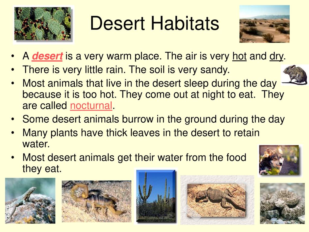 We should animals habitats. Animal Habitats. Habitats Vocabulary. Types of Habitats. Animal Habitat for Kids.