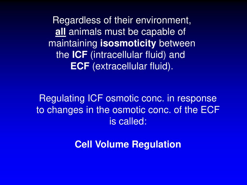 Osmotic and Ionic Regulation - ppt download