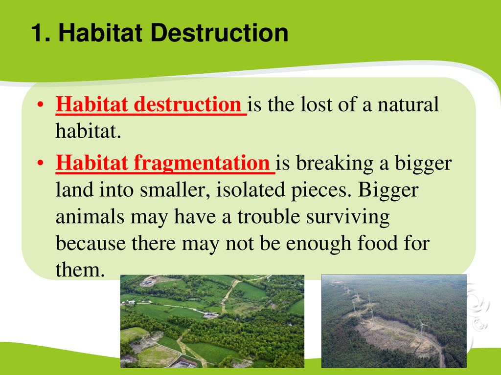 CHAPTER 3.3 BIODIVERSITY. Biology Diagrams